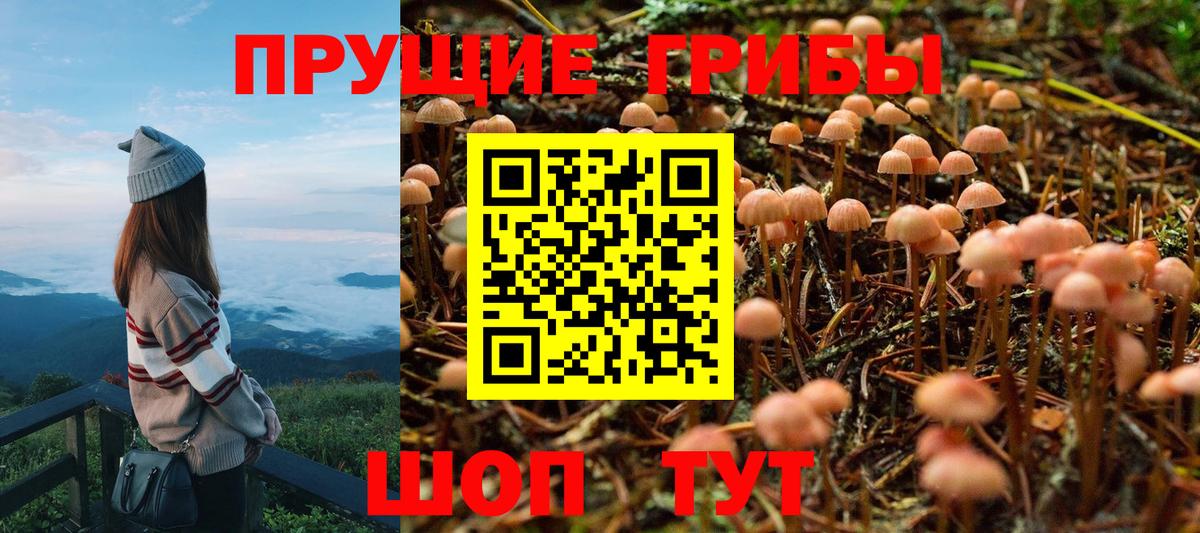 Псилоцибиновые грибы Cubensis  Вход с VPN  Белая Калитва 